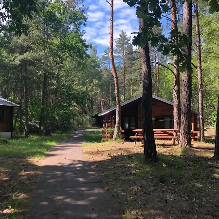 Lesnik - Letniskowe Nad Morzem * Stegna (Pomerania)