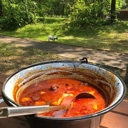 Lesnik - Letniskowe Nad Morzem