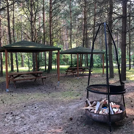 Semesteranläggning (resort) Lesnik - Letniskowe Nad Morzem Stegna (Pomerania)