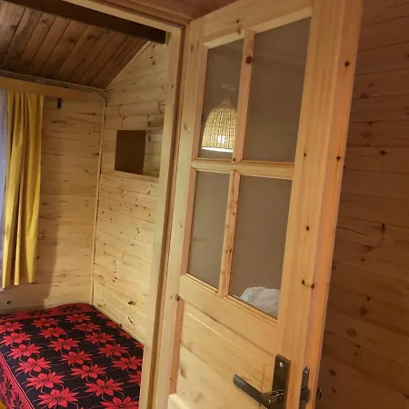 Lesnik - Letniskowe Nad Morzem * Stegna (Pomerania)