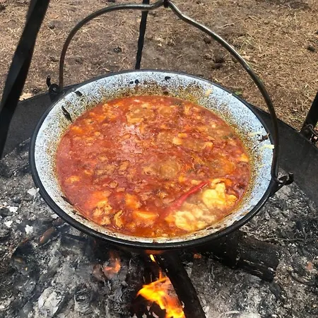 Lesnik - Letniskowe Nad Morzem Stegna (Pomerania)