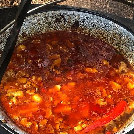 Lesnik - Letniskowe Nad Morzem Stegna (Pomerania)