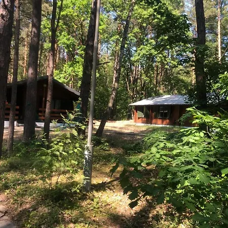 Lesnik - Letniskowe Nad Morzem Semesteranläggning (resort) Stegna (Pomerania)