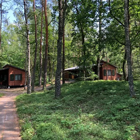 Lesnik - Letniskowe Nad Morzem Stegna (Pomerania)