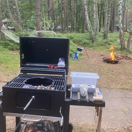 Lesnik - Letniskowe Nad Morzem * Stegna