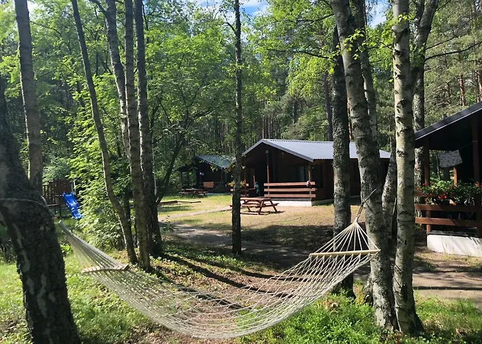 Lesnik - Letniskowe Nad Morzem Θέρετρο Stegna (Pomerania)