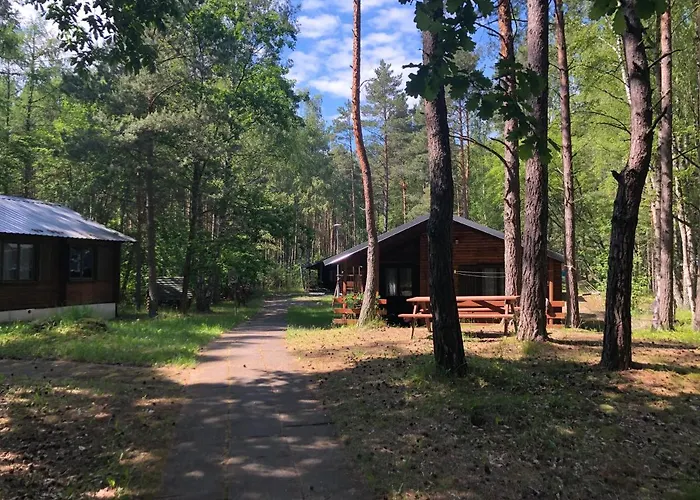 Lesnik - Letniskowe Nad Morzem * Stegna (Pomerania)