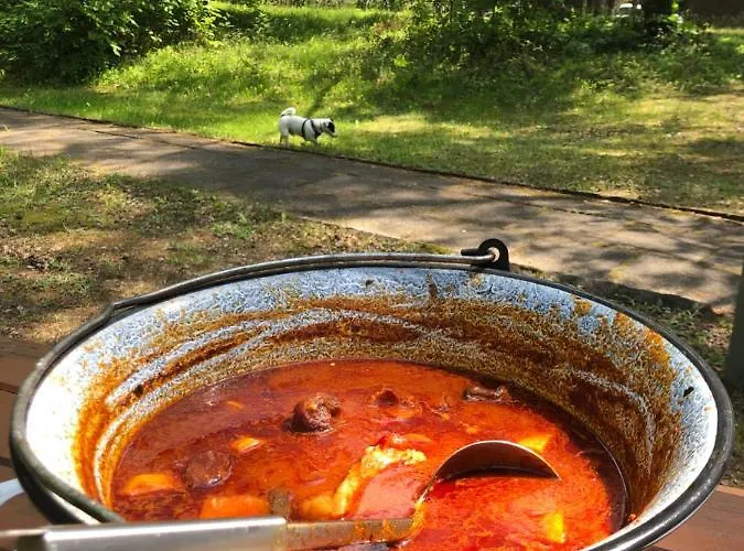 Lesnik - Letniskowe Nad Morzem