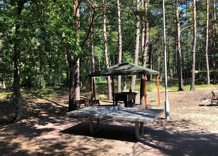 Lesnik - Letniskowe Nad Morzem Θέρετρο Stegna (Pomerania)