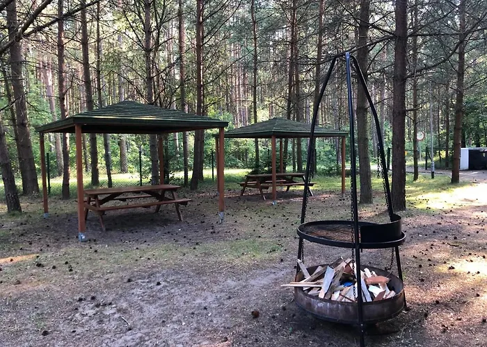 Θέρετρο Lesnik - Letniskowe Nad Morzem Stegna (Pomerania)