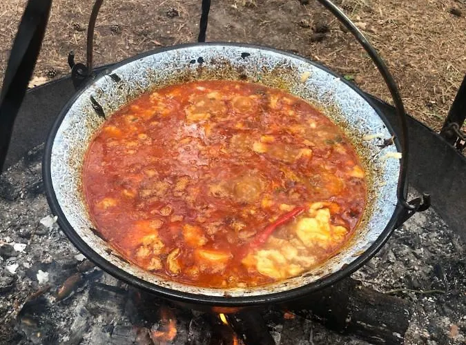 Lesnik - Letniskowe Nad Morzem Stegna (Pomerania)