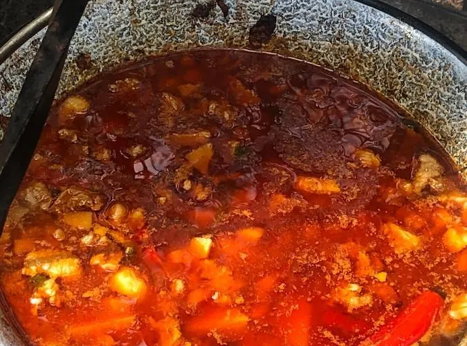 Lesnik - Letniskowe Nad Morzem Stegna (Pomerania)