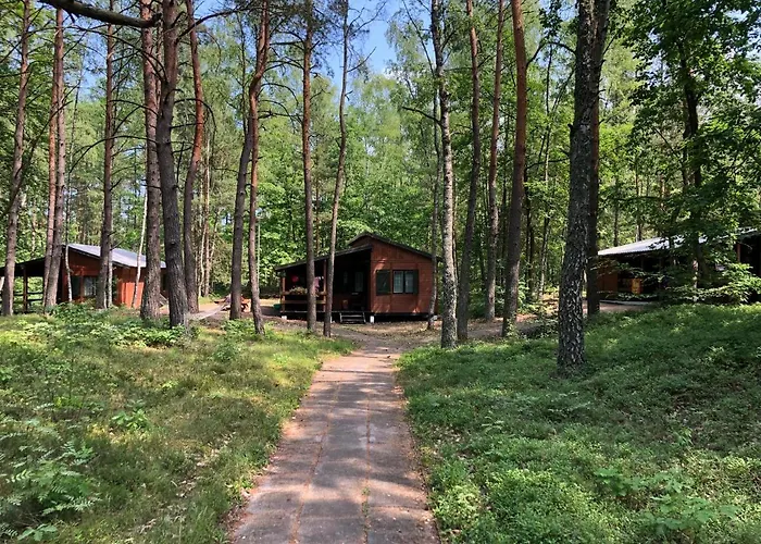 Lesnik - Letniskowe Nad Morzem * Stegna (Pomerania)