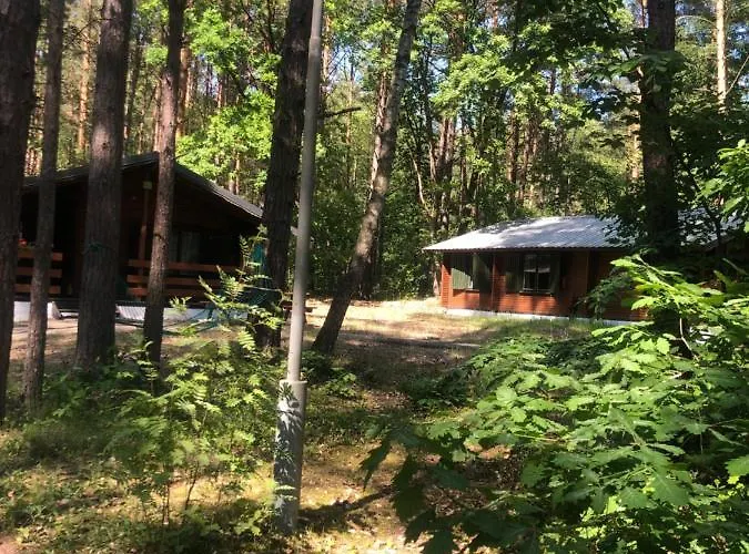 Lesnik - Letniskowe Nad Morzem Θέρετρο Stegna (Pomerania)