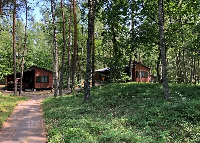 Lesnik - Letniskowe Nad Morzem Stegna (Pomerania)